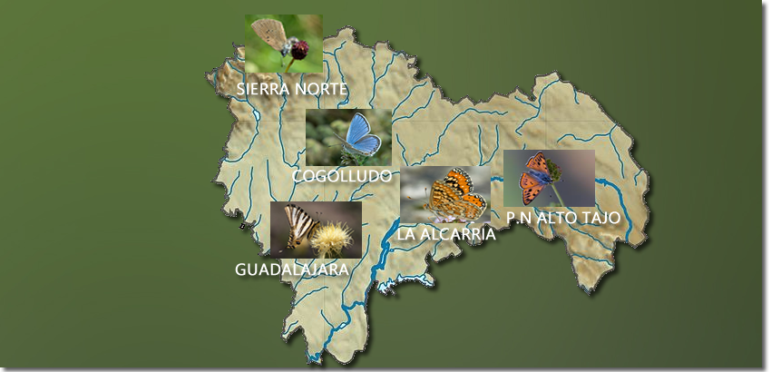mapa de la provincia de Guadalajara